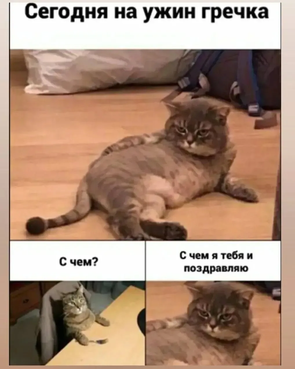 Юмор в открытках