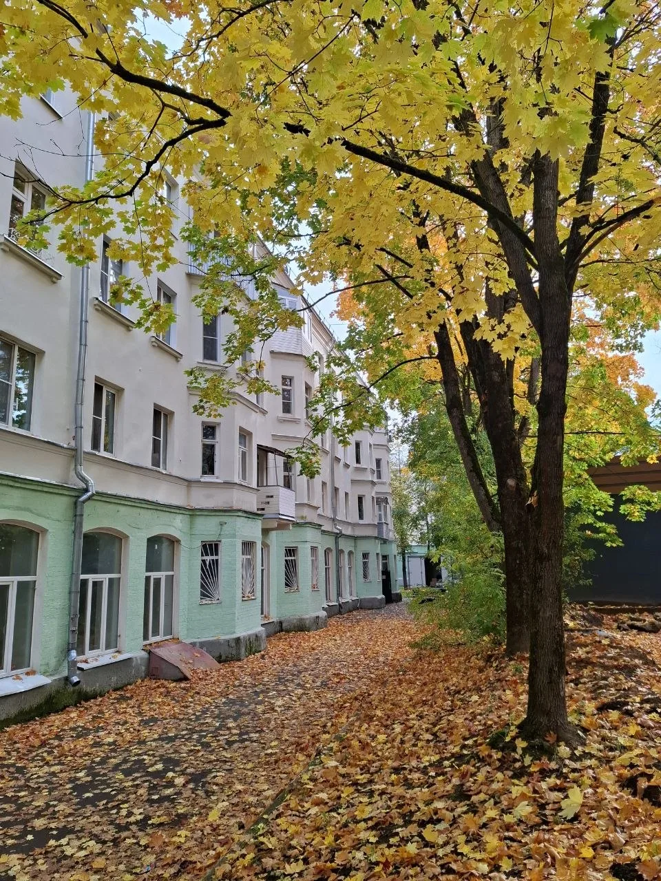 🍂 Яркая осень в Красноармейске