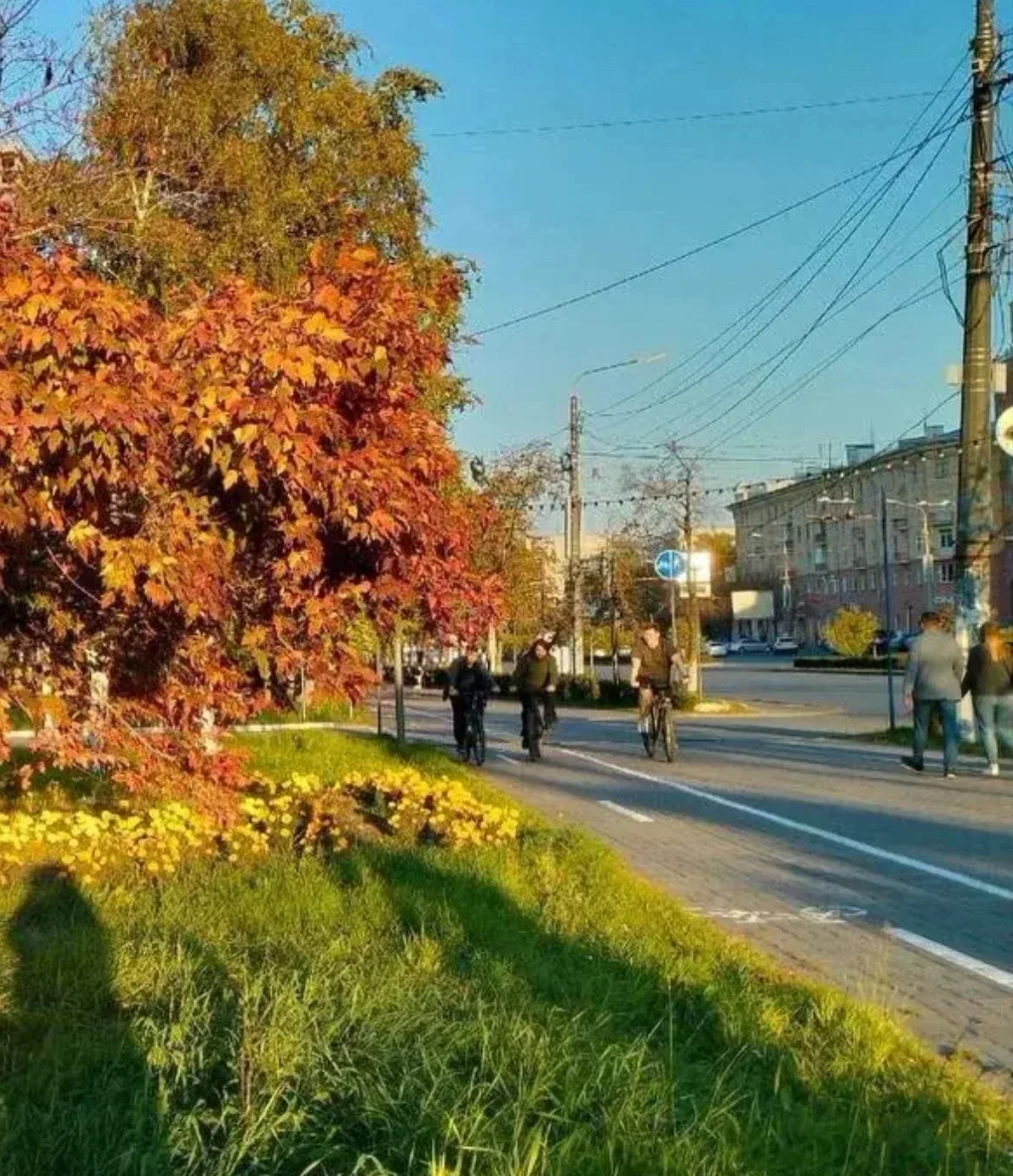 ☀️ К выходным Челябинскую область ждёт потепление и больше солнца