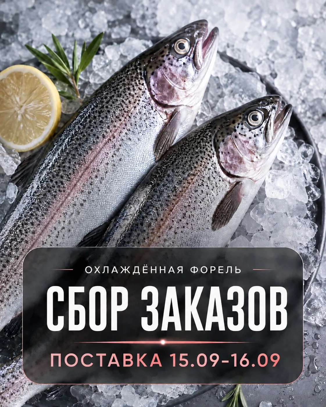 🤗Открываем сбор заказов на охлаждённую форель из Хакасии!