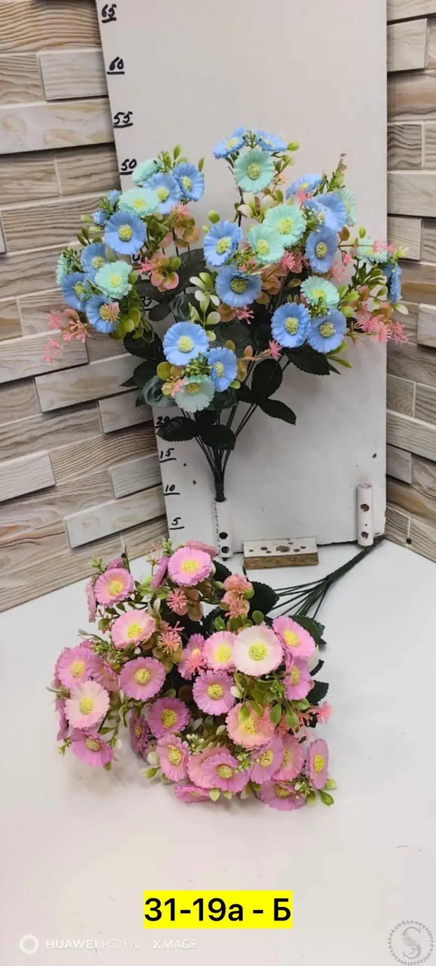 https://vk.com/photo-184814919_493551897