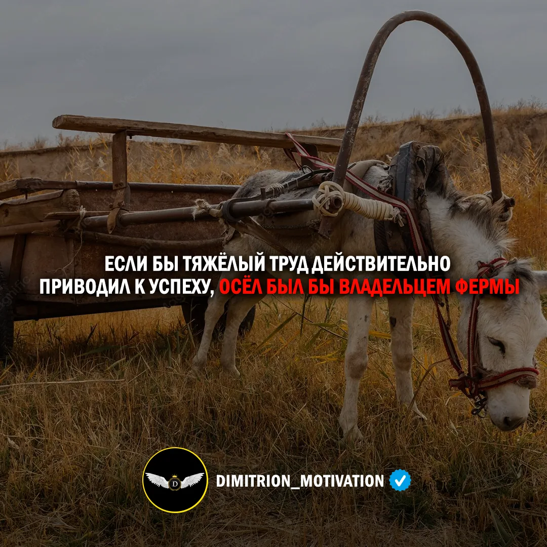 Помните об этом...