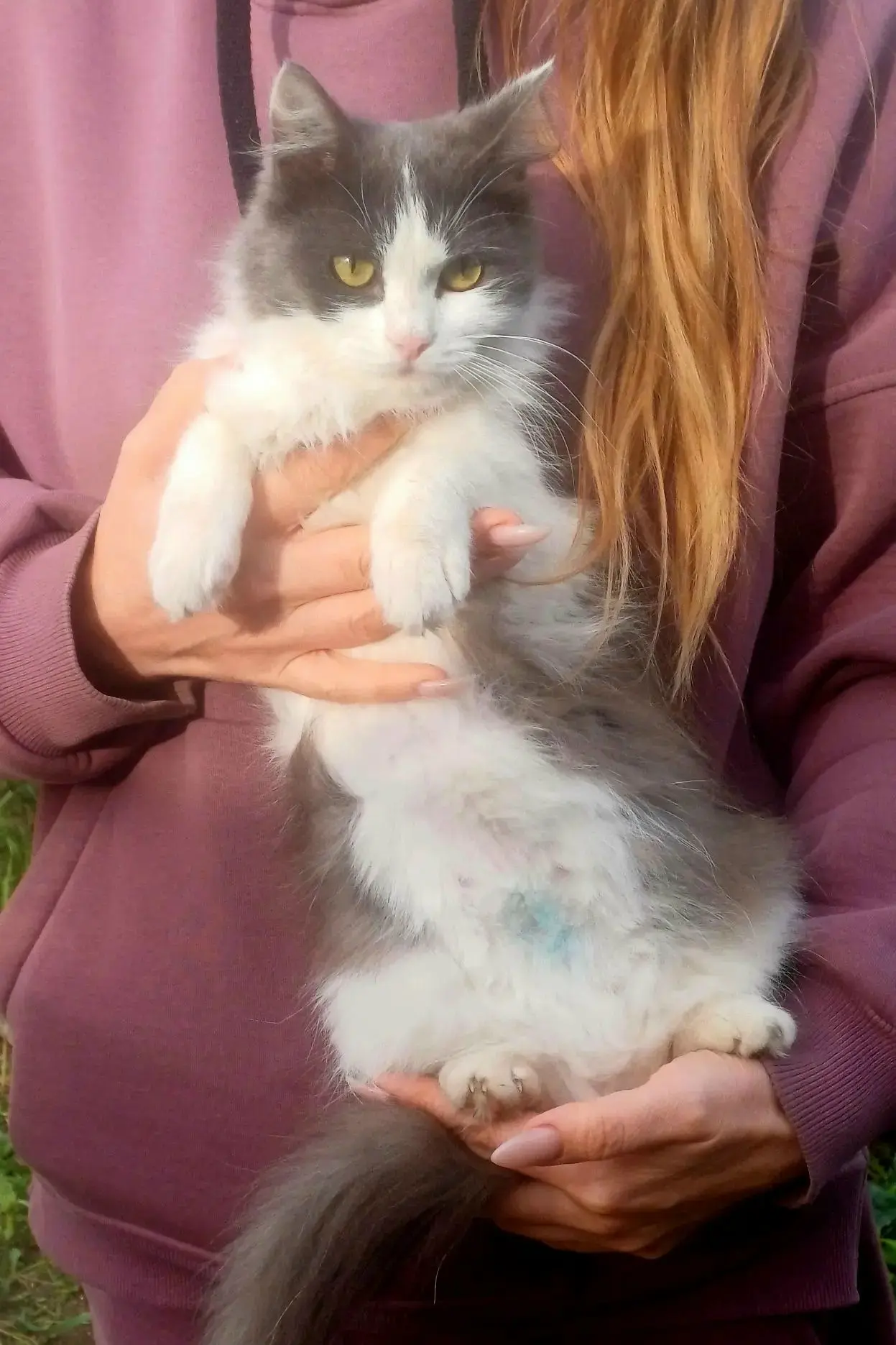 😿 Очередная брошенная душа.