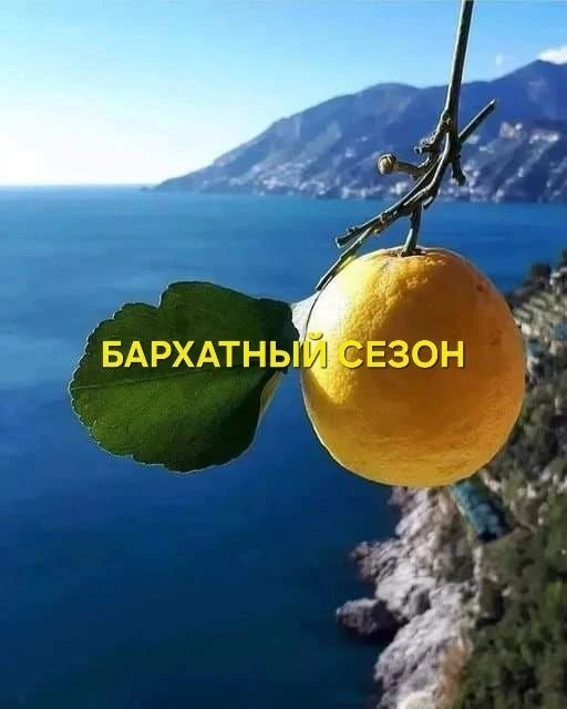 🍁🛑СЕНТЯБРЬ - ИДЕАЛЬНОЕ ВРЕМЯ для ОТДЫХА в ТУРЦИИ 😉ЦЕНЫ УЖЕ НЕ ТЕ, 
☀️А СОЛНЦЕ - ТО ЖЕ👍😊

💃ЛЕТИ