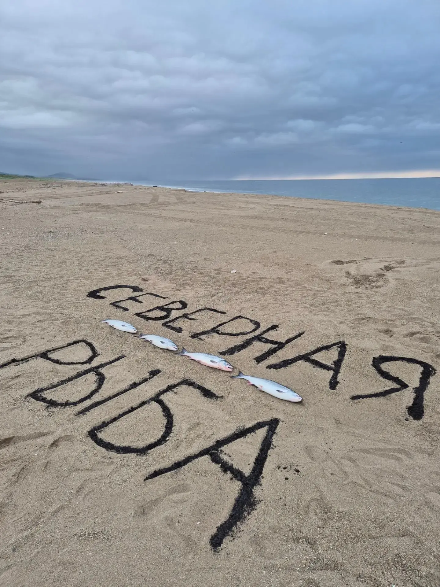 🌊 И снова на связи Дальний Восток!