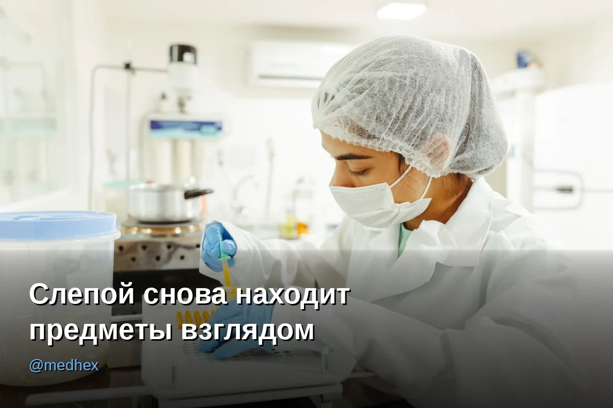 👁️ Слепой пациент снова увидел предметы — благодаря гену медузы и водоросли