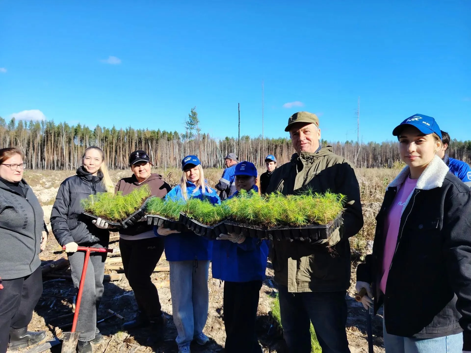 Сохраняем лес вместе 🌲
