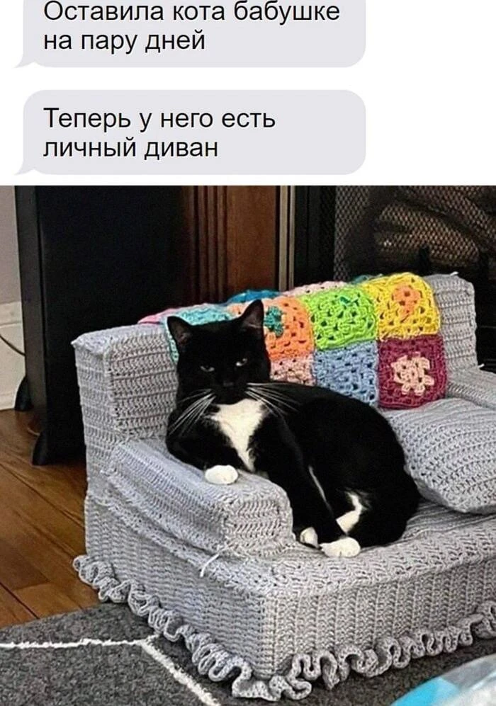 🤣🤣🤣