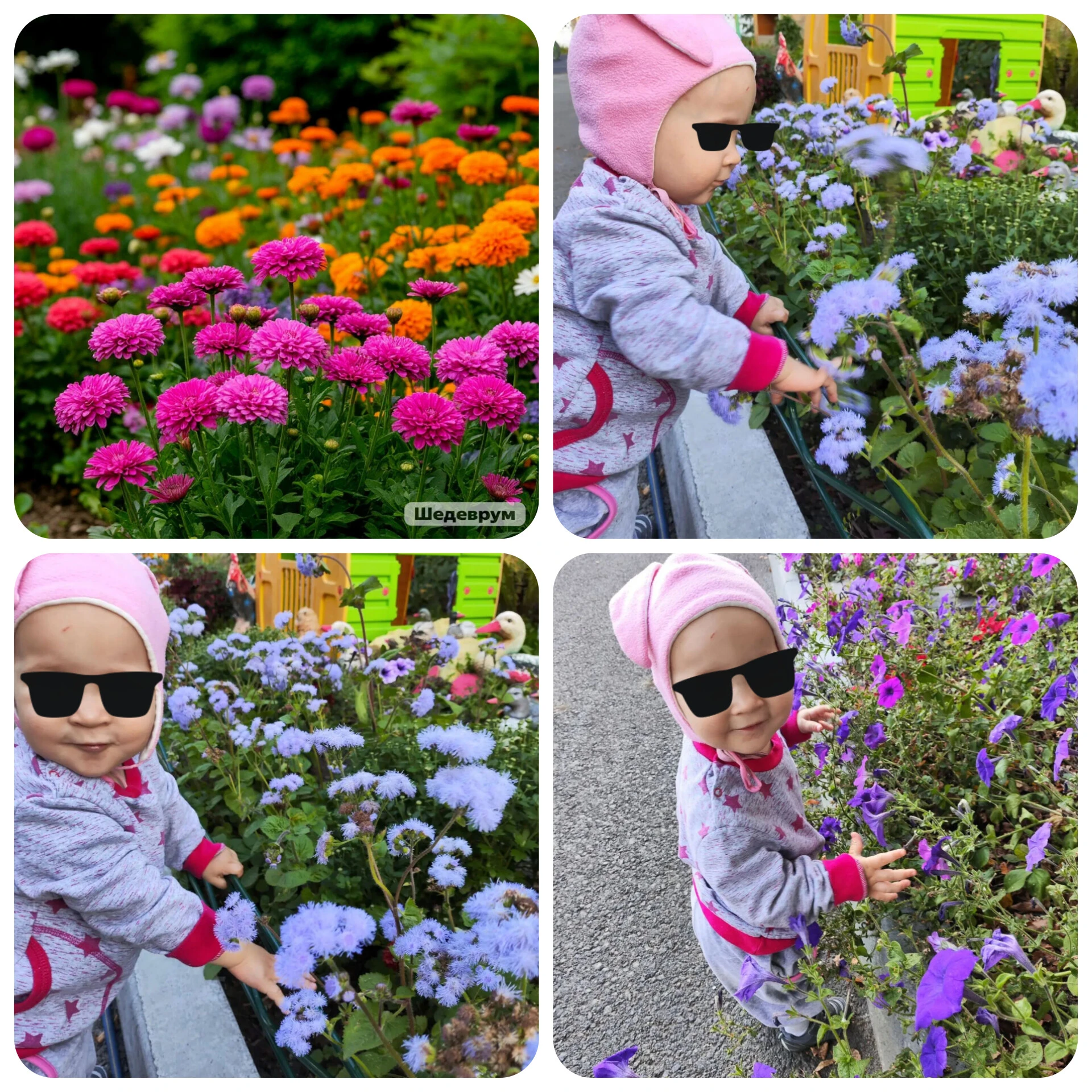🌸 Радость в каждом лепестке! 🌸