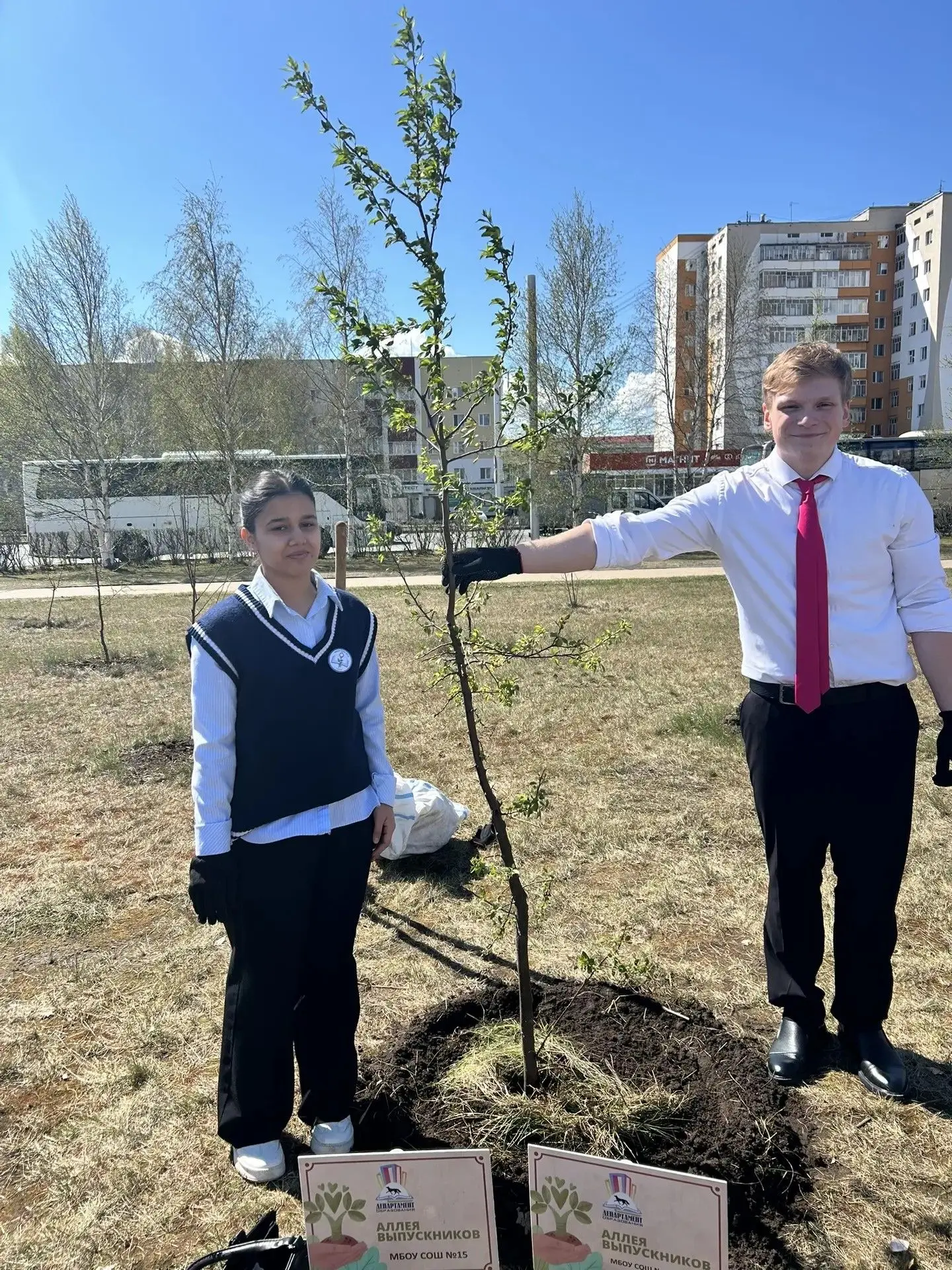 🌳 «Аллея выпускников» в Сургуте: 66 одиннадцатиклассников высадили яблони у Свято-Трои...