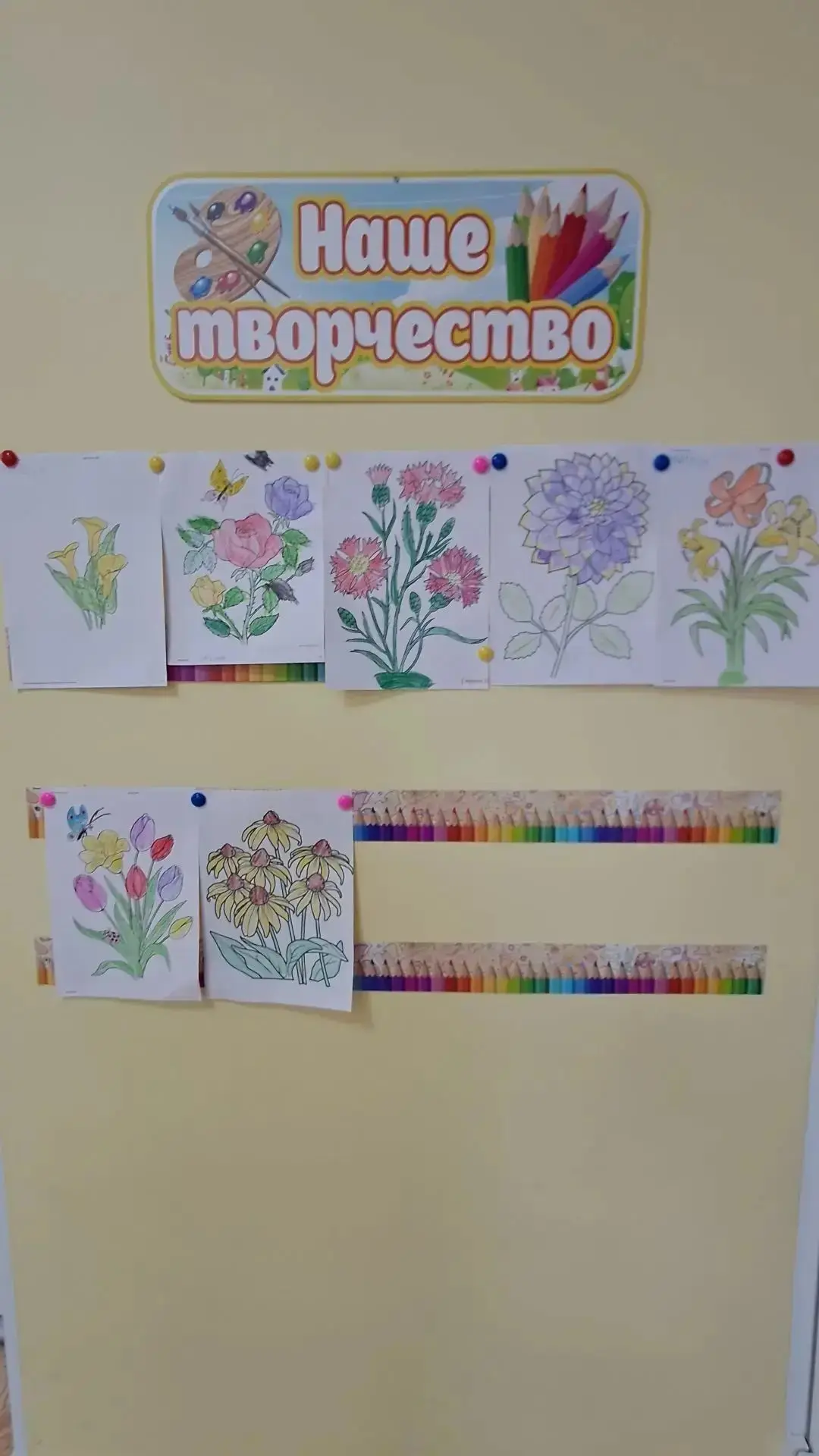 🌼 Летние открытия на клумбах! 🌿