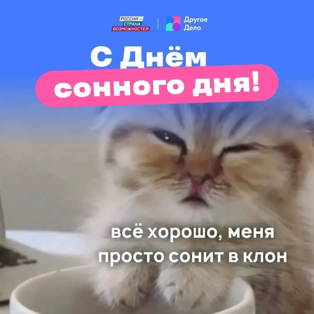 Сегодня тот самый день, когда даже твой кот посмотрит на тебя с уважением, ведь ты совершенно официа