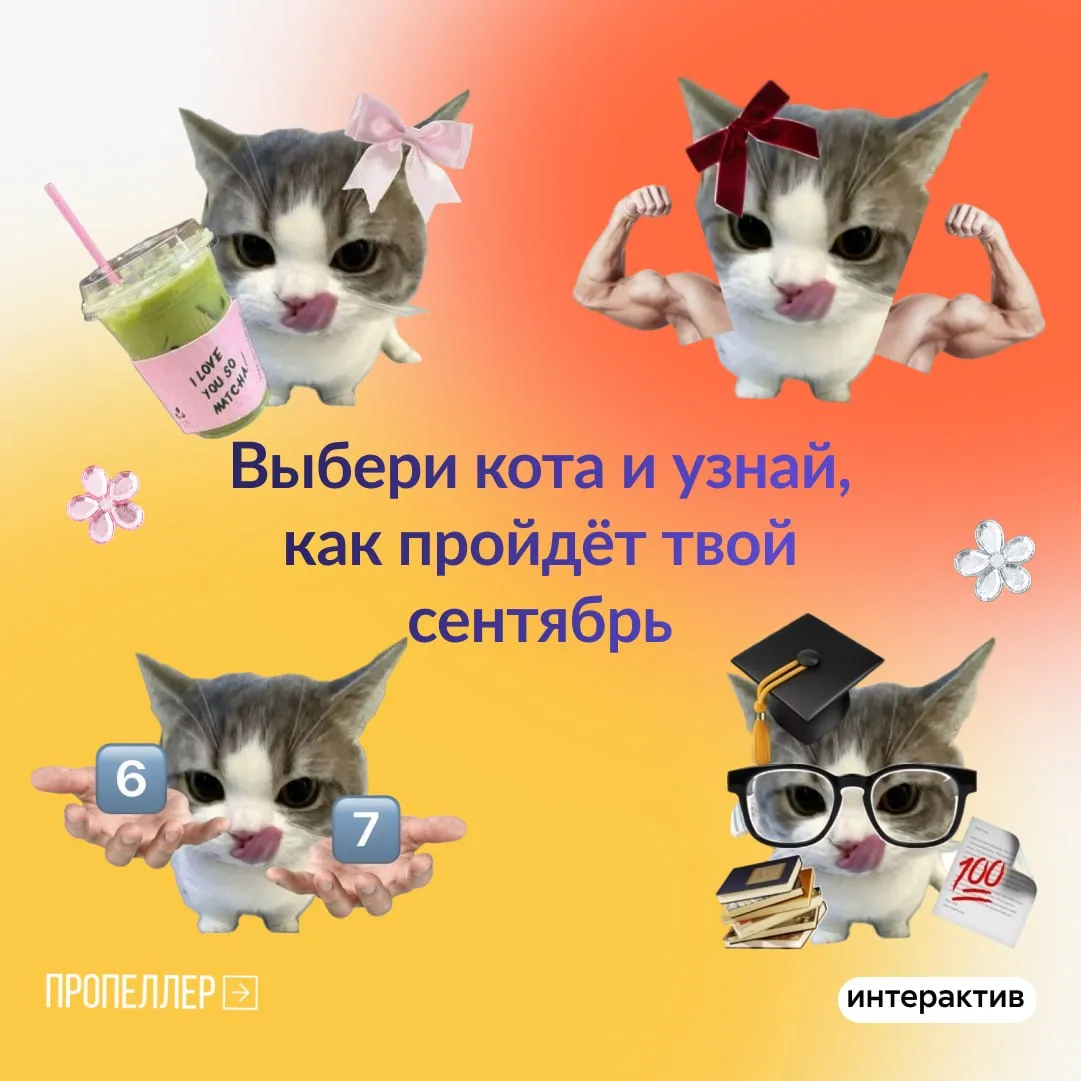 🧷 Как пройдёт первый учебный месяц? Все ответы уже у нас!
