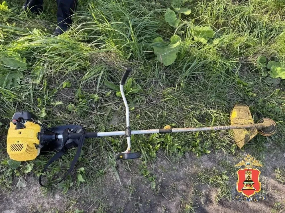 🚔 Житель Лихославльского округа взломал дом приятеля и украл бензотриммер из-за ссоры