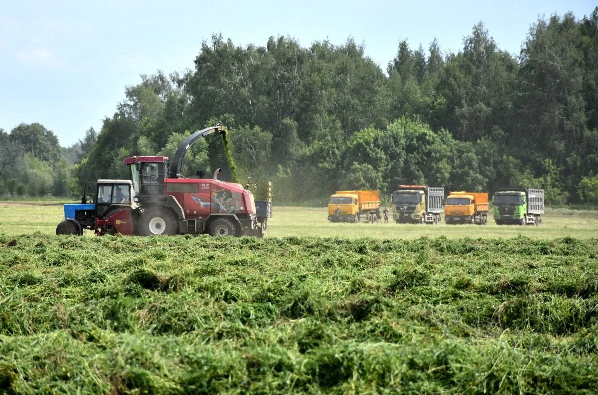 🚜 🌱 Рязанские аграрии заготавливают корма для животных