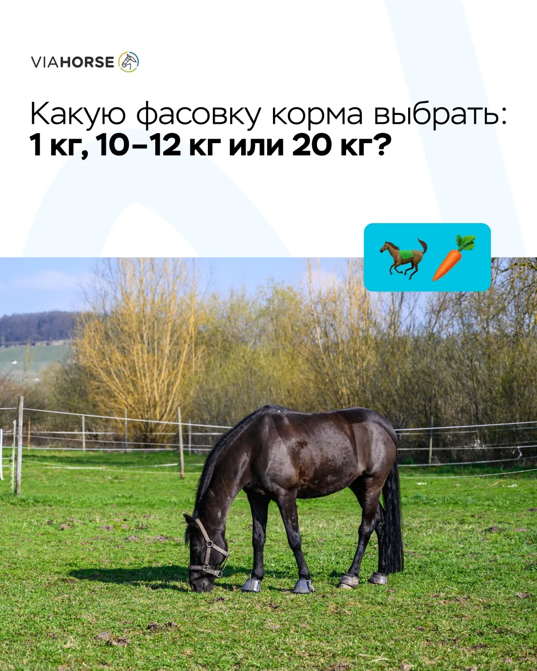 Какую фасовку корма выбрать: 1 кг, 10–12 кг или 20 кг?