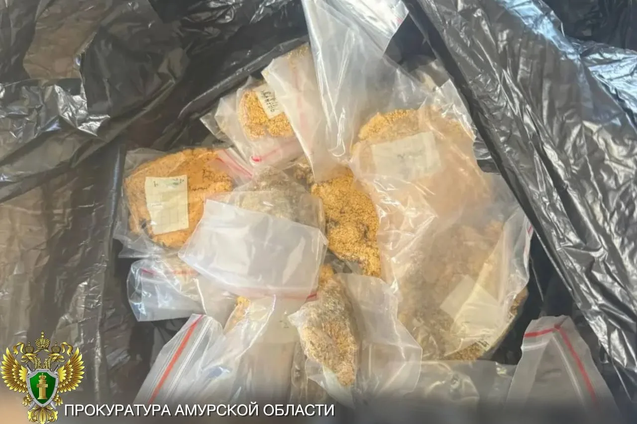 В Приамурье будут судить организаторов незаконной добычи золота с участием 24 иностранцев