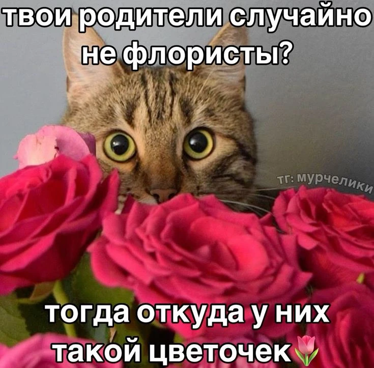 ОВЕН, 2 октября. Ты самый лучший и прекрасный цветочек на свете