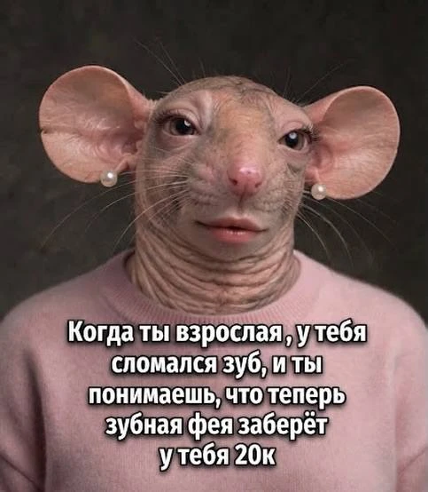 Зубная фея уже не та 🐀