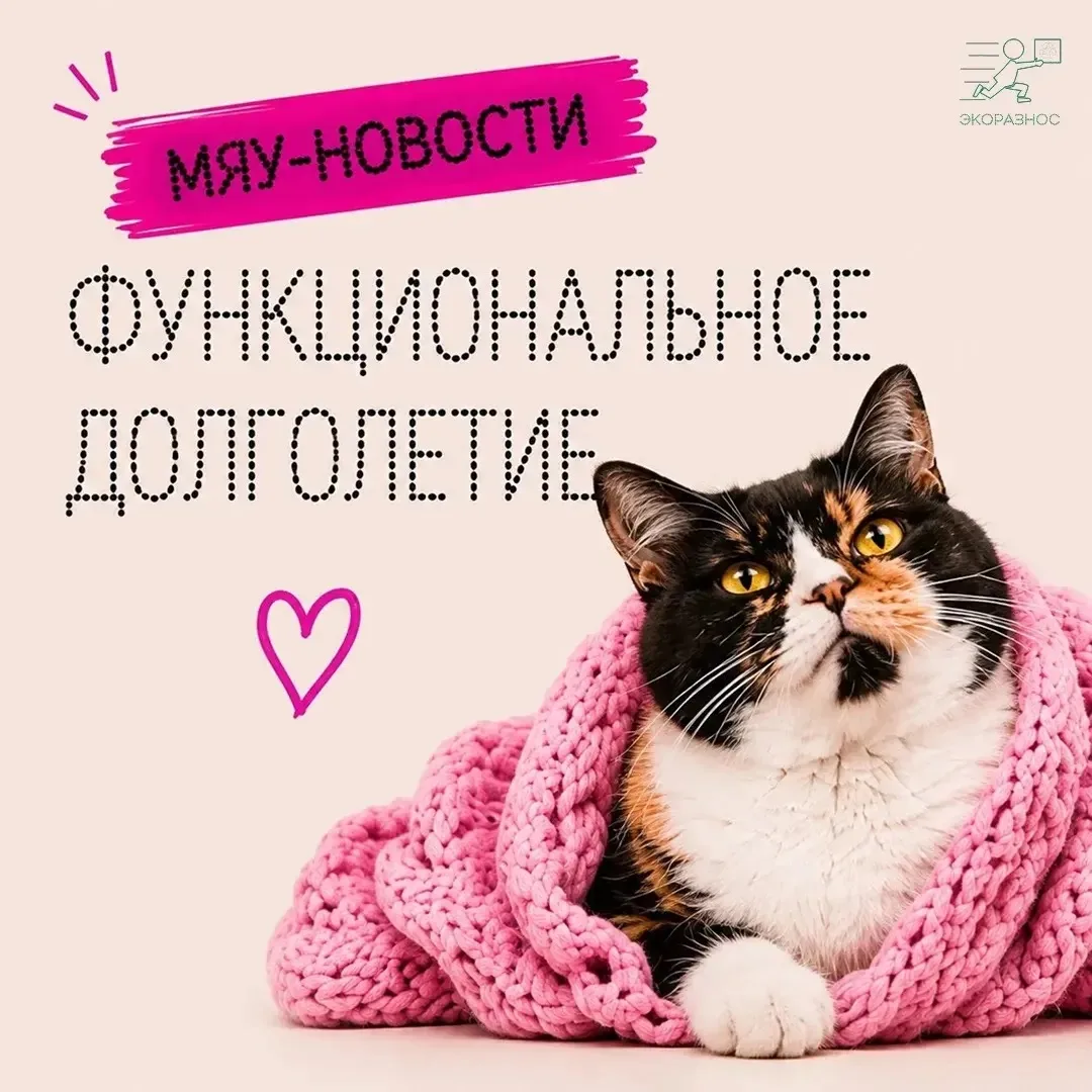 Anti-age умер. Да здравствует функциональное долголетие