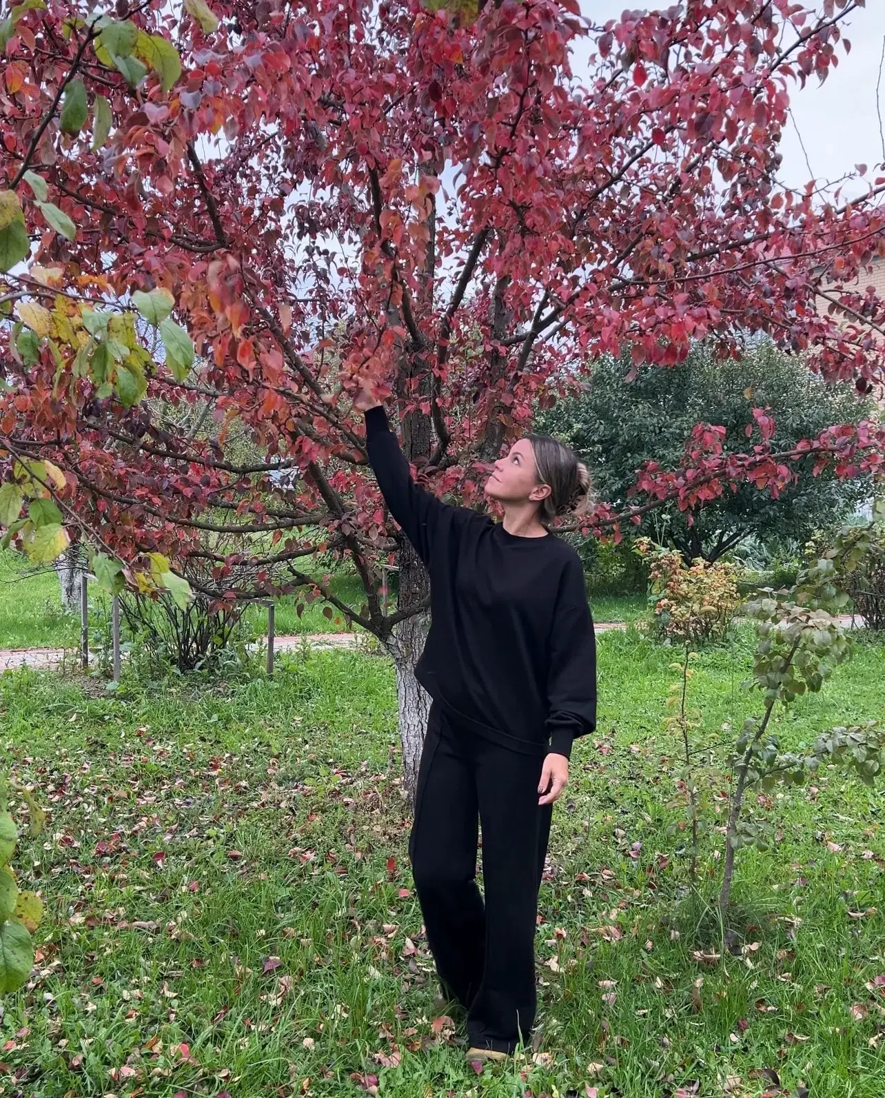 Мои обязательные работы в саду в сентябре🍁🍂