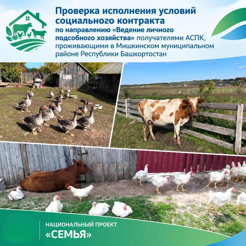 ✅Филиалом ГКУ РЦСПН по Бирскому району и г. Бирску Республики Башкортостан продолжается...