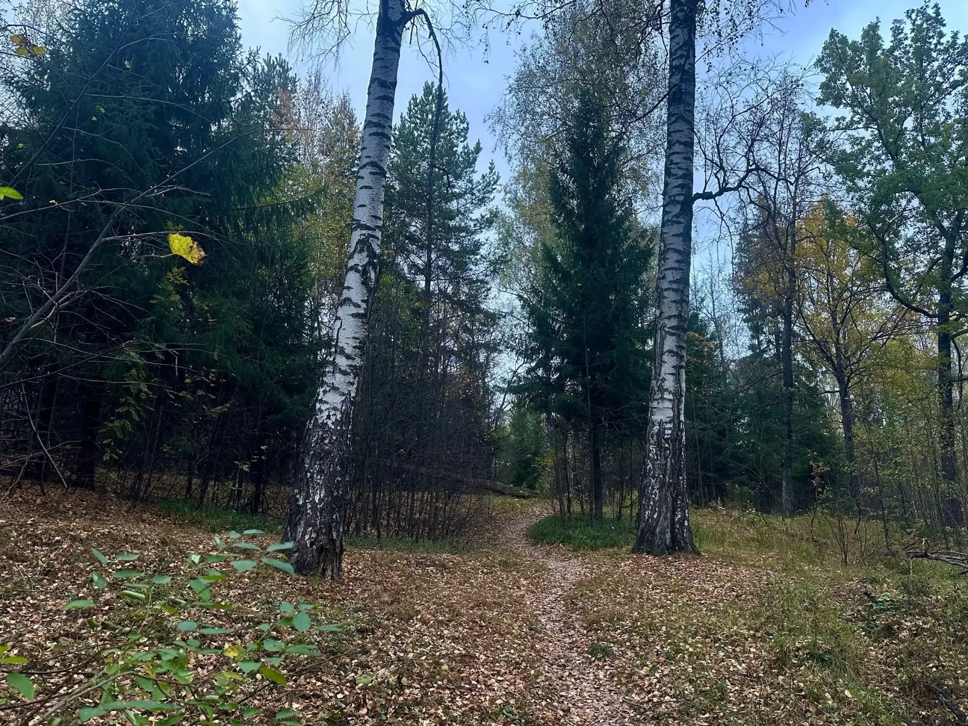 Вечер Зеленодольска в трёх кадрах 🌙