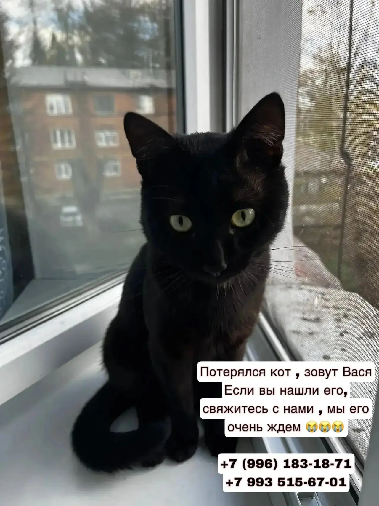 От подписчика