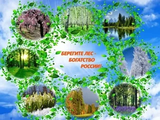 Пожарная безопасность в лесах — это одна из важнейших задач, направленных на сохранение природы и жи