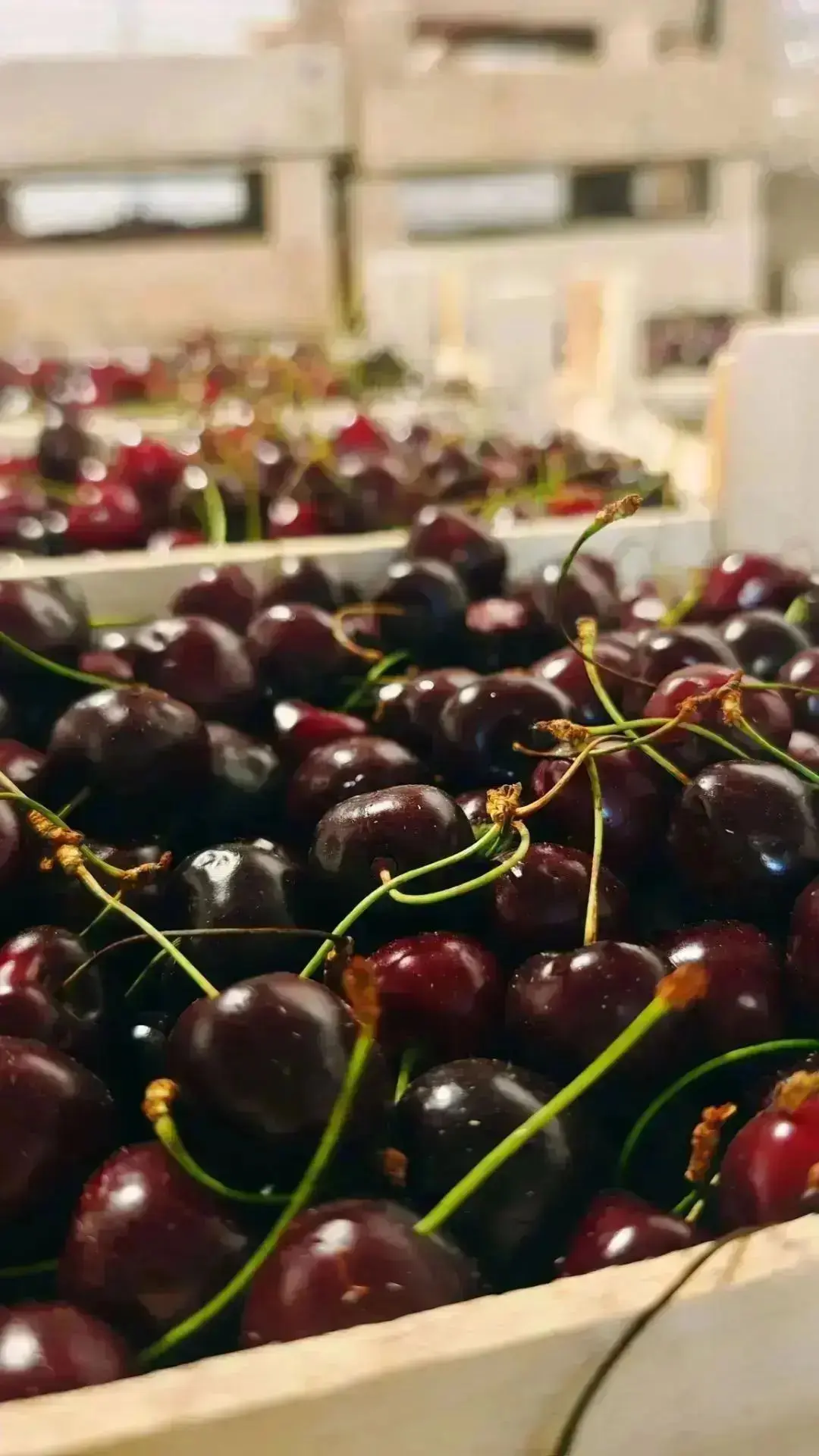 ✅ Магазин работает до 20.00