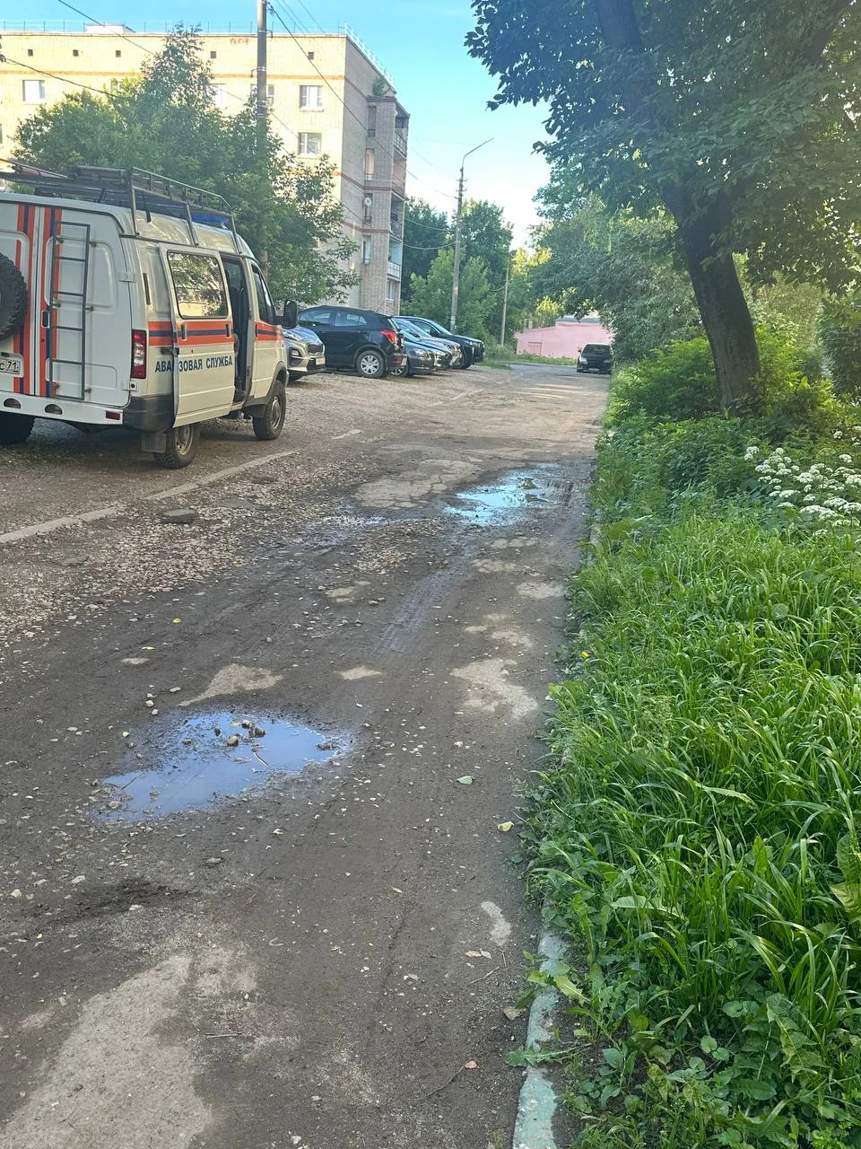 От подписчика