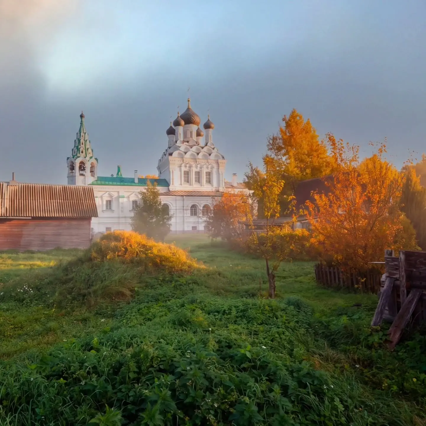 🍂Золотая осень Ленинградской области...