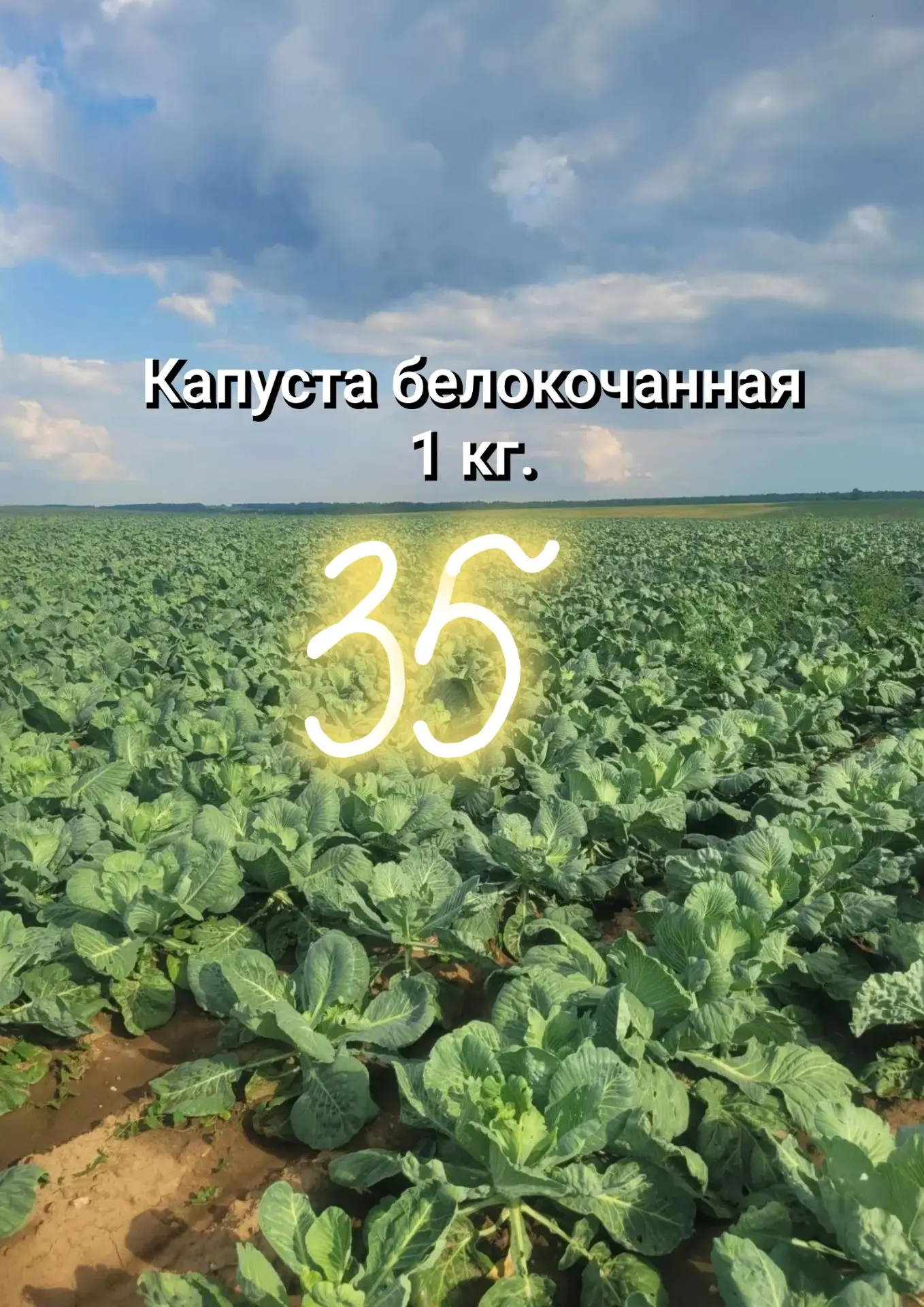 Дорогие покупатели! 🌾

Завтра, 29 июля, на наши прилавки приедет свежий привоз прямо с полей р. Мар