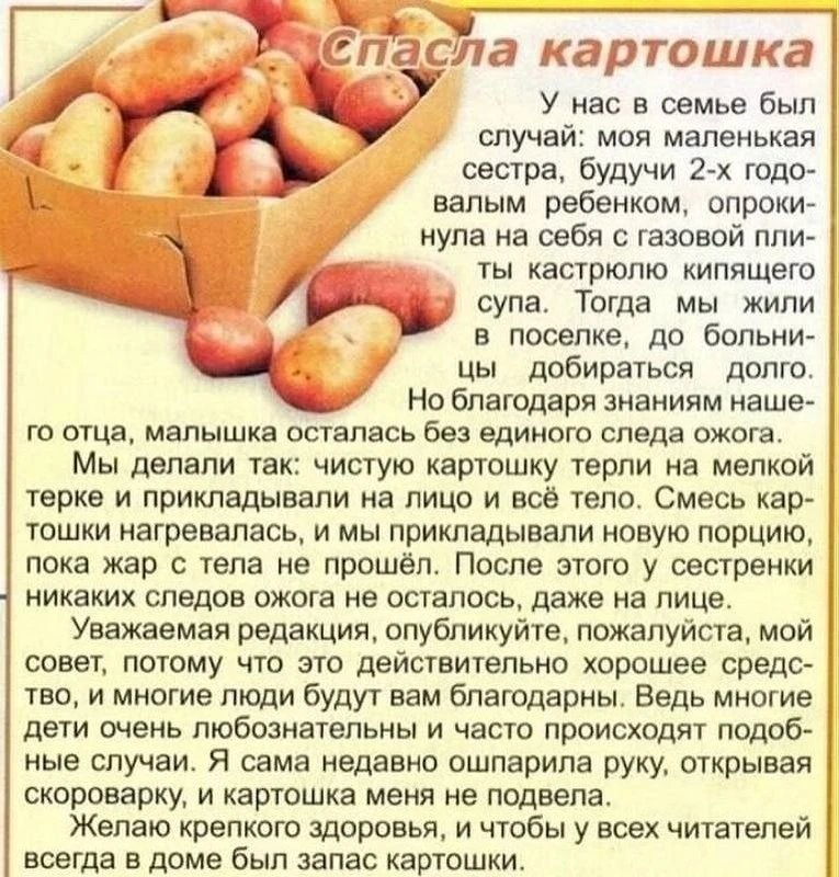 Вас спасет картошка 🥔