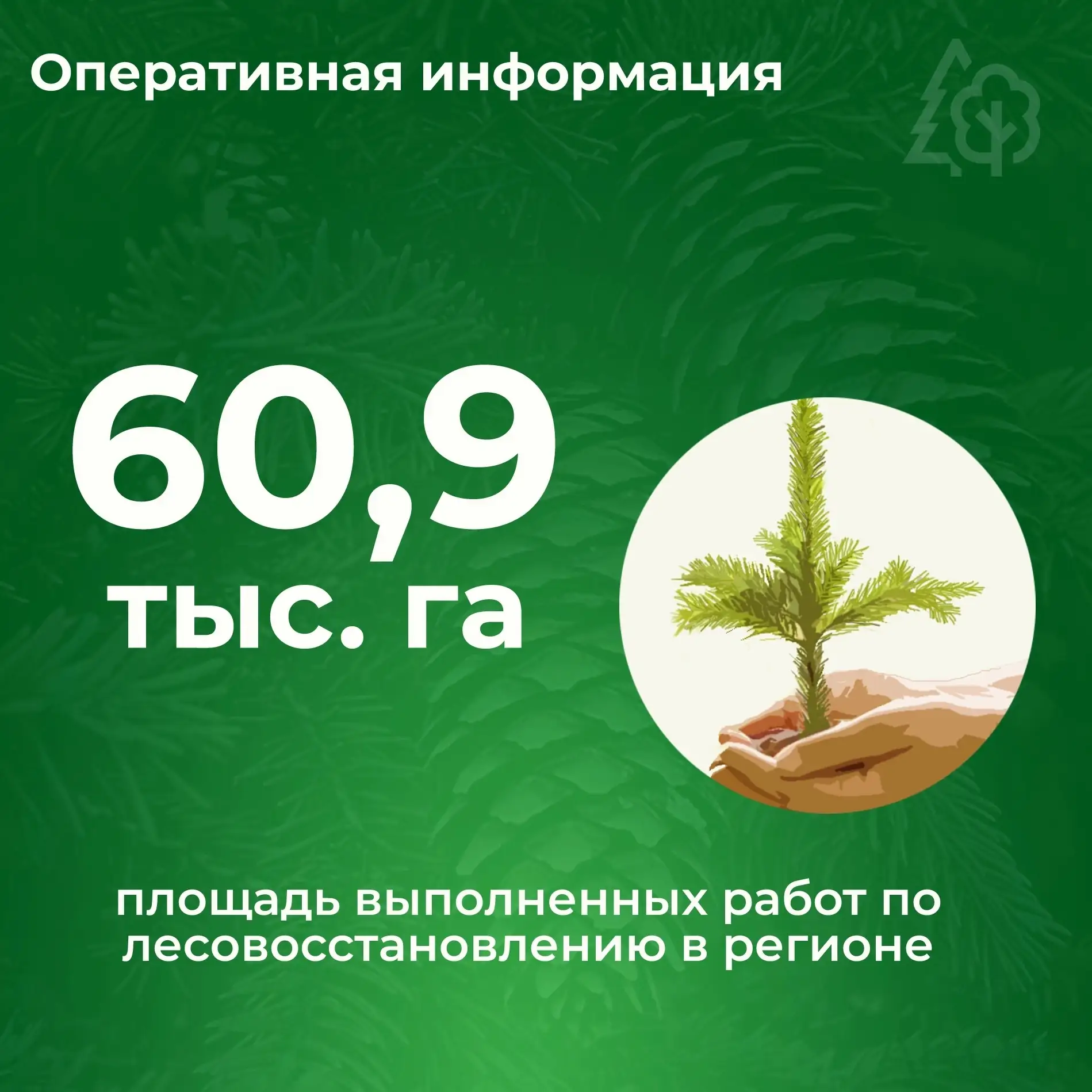 💎 Нацпроект