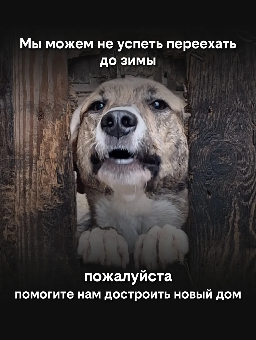 Друзья, ну где же вы ?! Стройка стоит, помощи практически нет!