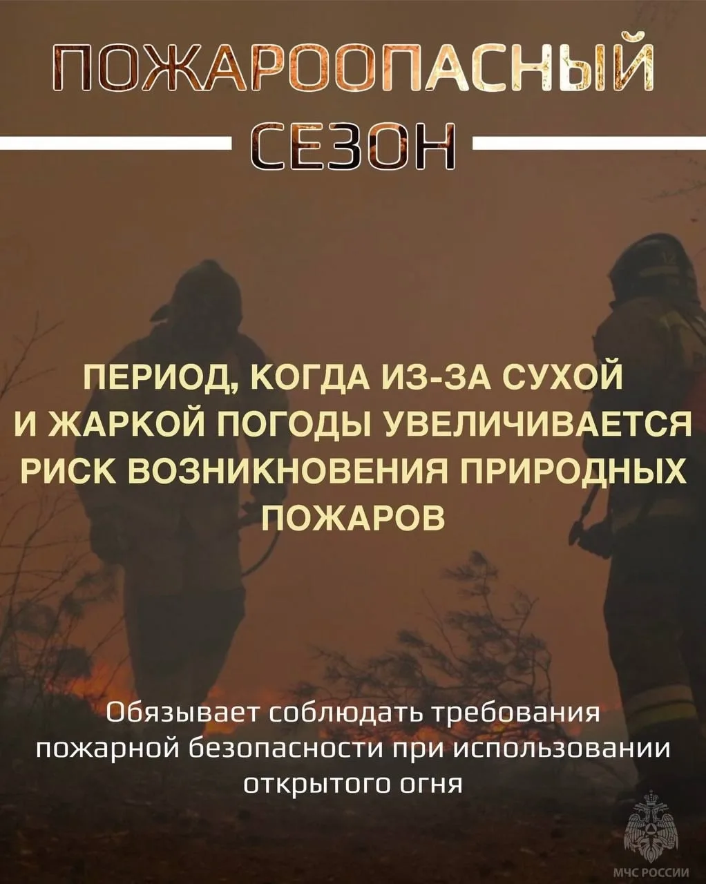 ВАЖНО! В двух карточках: чем отличается пожароопасный сезон от особого противопожарного...