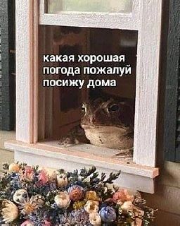 ⚡️Штормовое предупреждение объявили в Тюменской области на сегодня