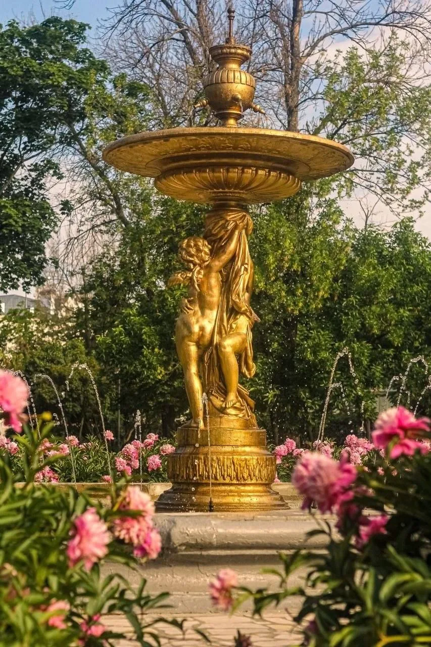 🌸 Такие прекрасные пионы цветут в Ленинском саду в Казани