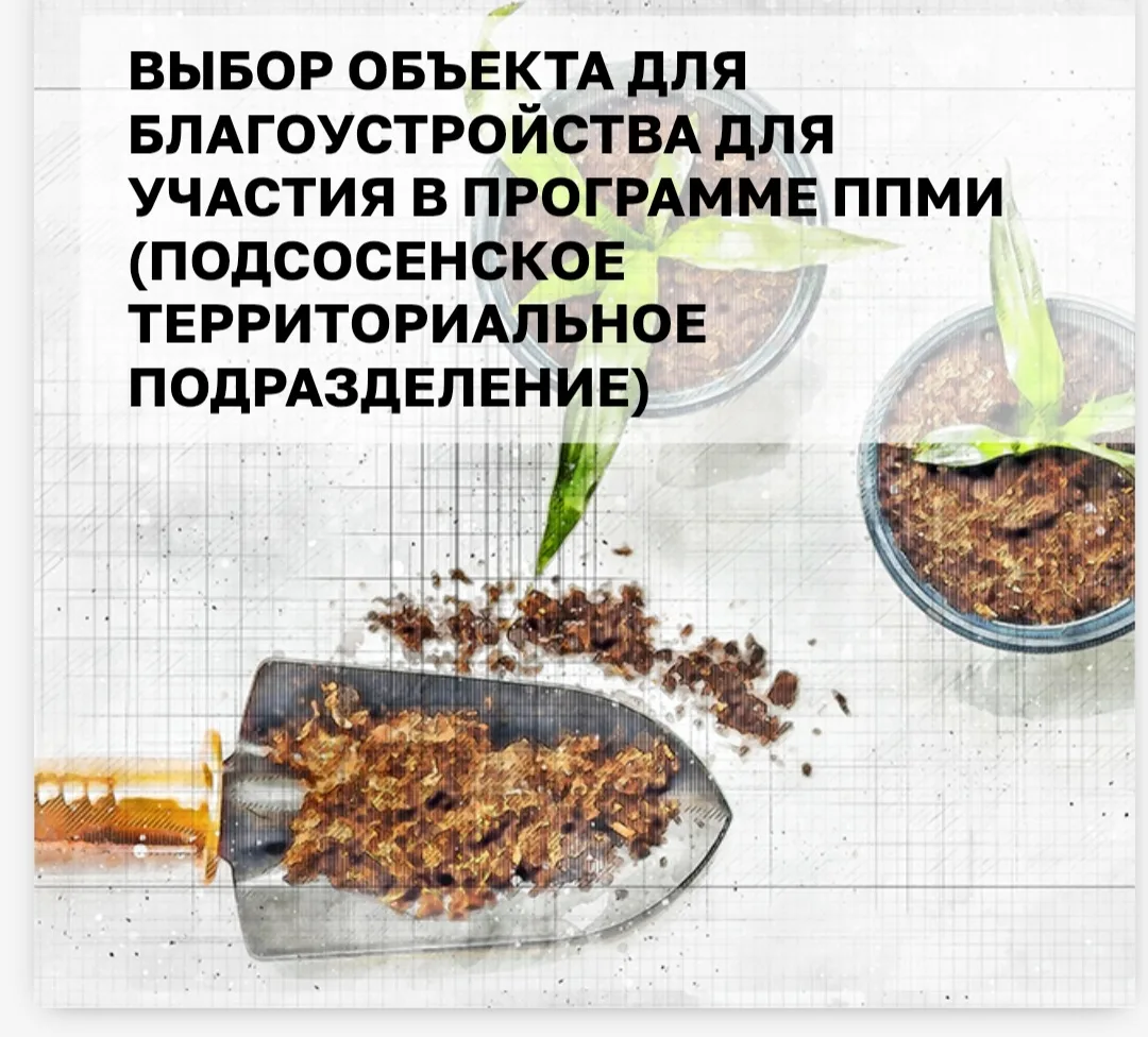 Выбираем, что будем благоустраивать в Подсосенском терподразделении
