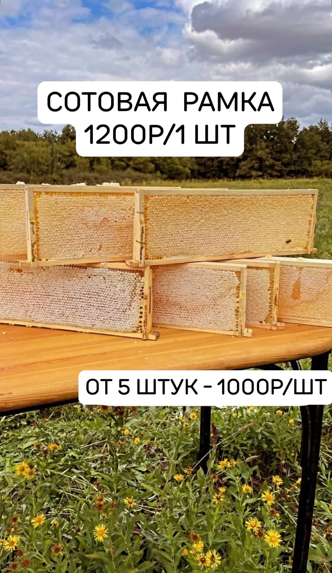 Часть продукции  2026 года 🐝