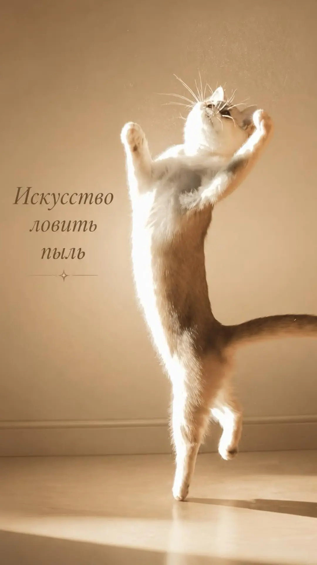 Мои дети были в восторге от этого видео 😲 «Мама! Наш котик как будто летит! 😻». 

Когда простая иг