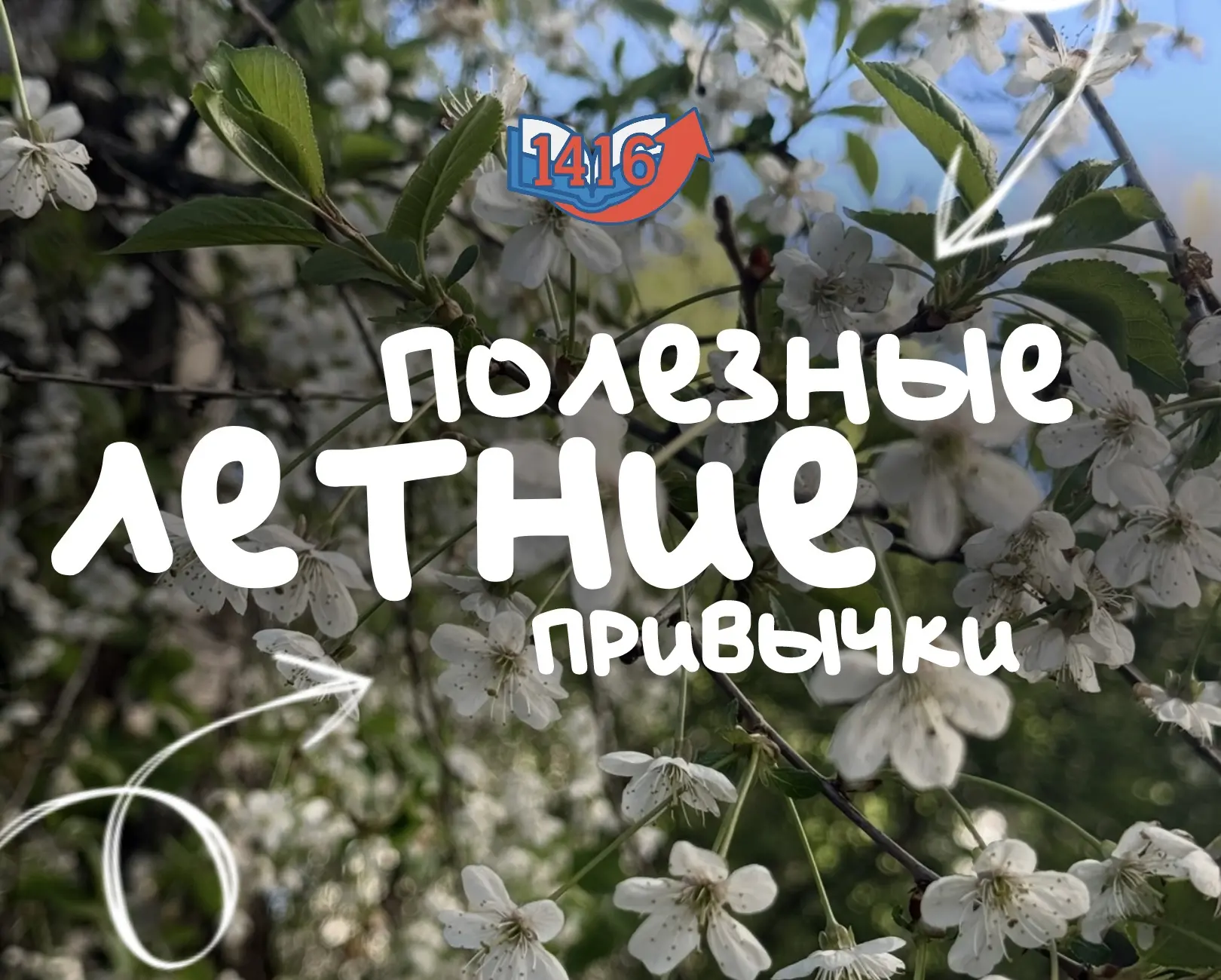 ☀️ Полезные летние привычки, которые реально хочется попробовать

Лето — не про «надо», а про «хочу»