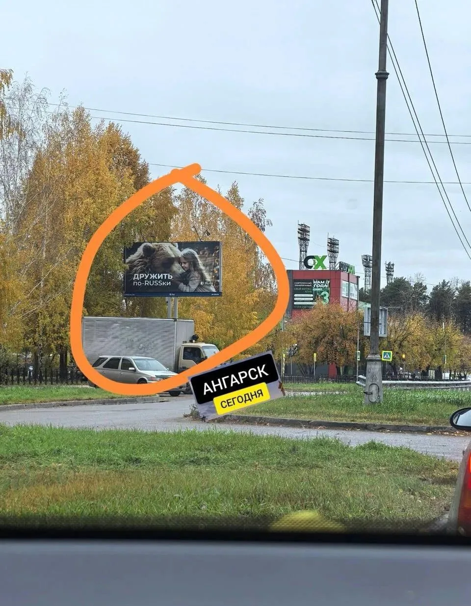 Баннер с медведем напугал жителей Ангарска после нападений хищников