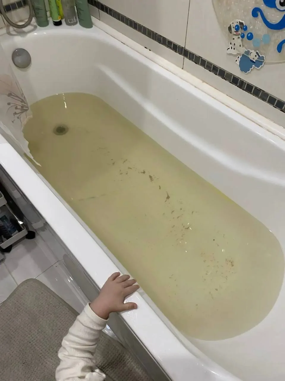 Жители Панорамы жалуются на качество воды