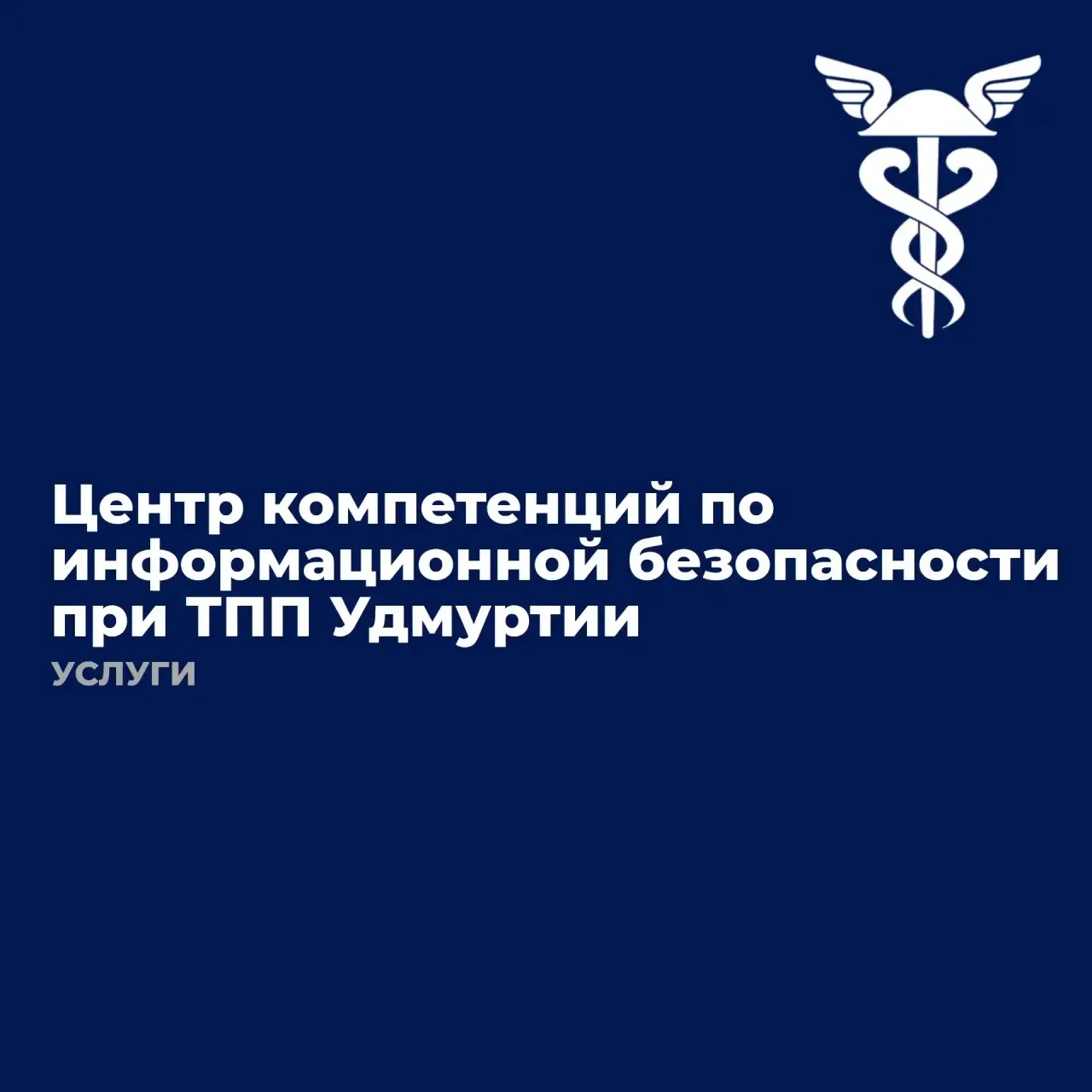 Защитите свой бизнес от киберугроз🔒