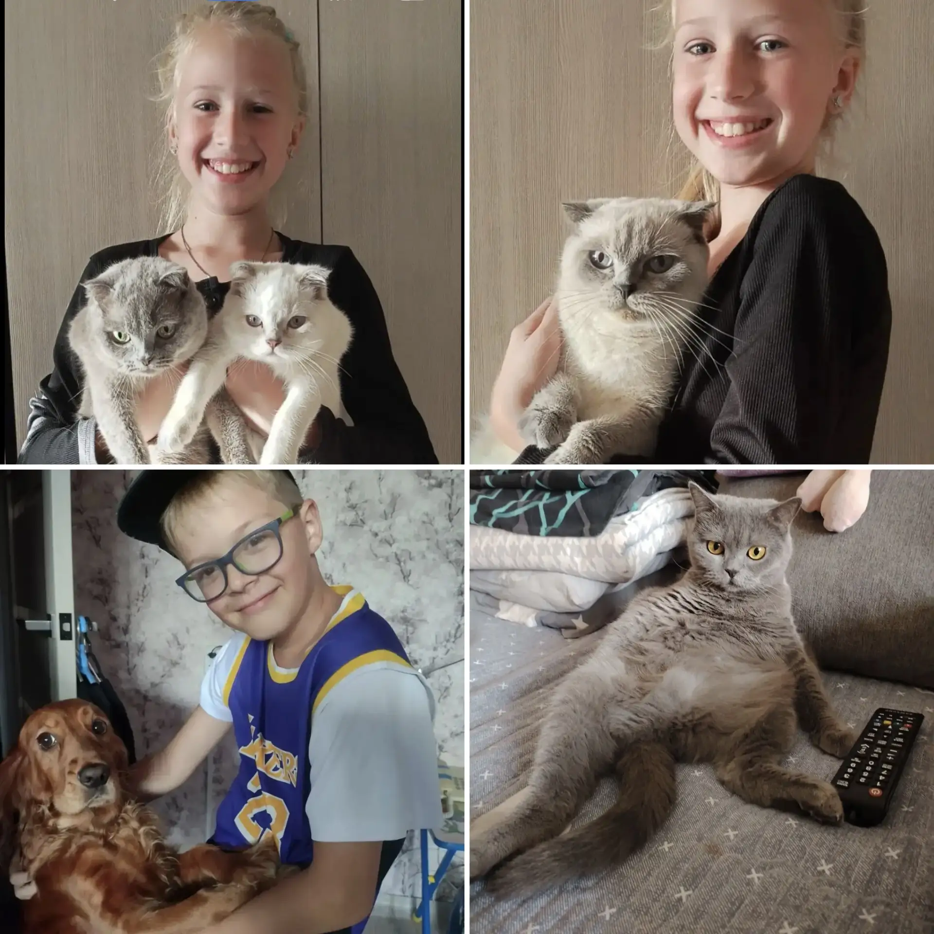 4 октября отмечается Всемирный день защиты животных — день, который напоминает нам о то...