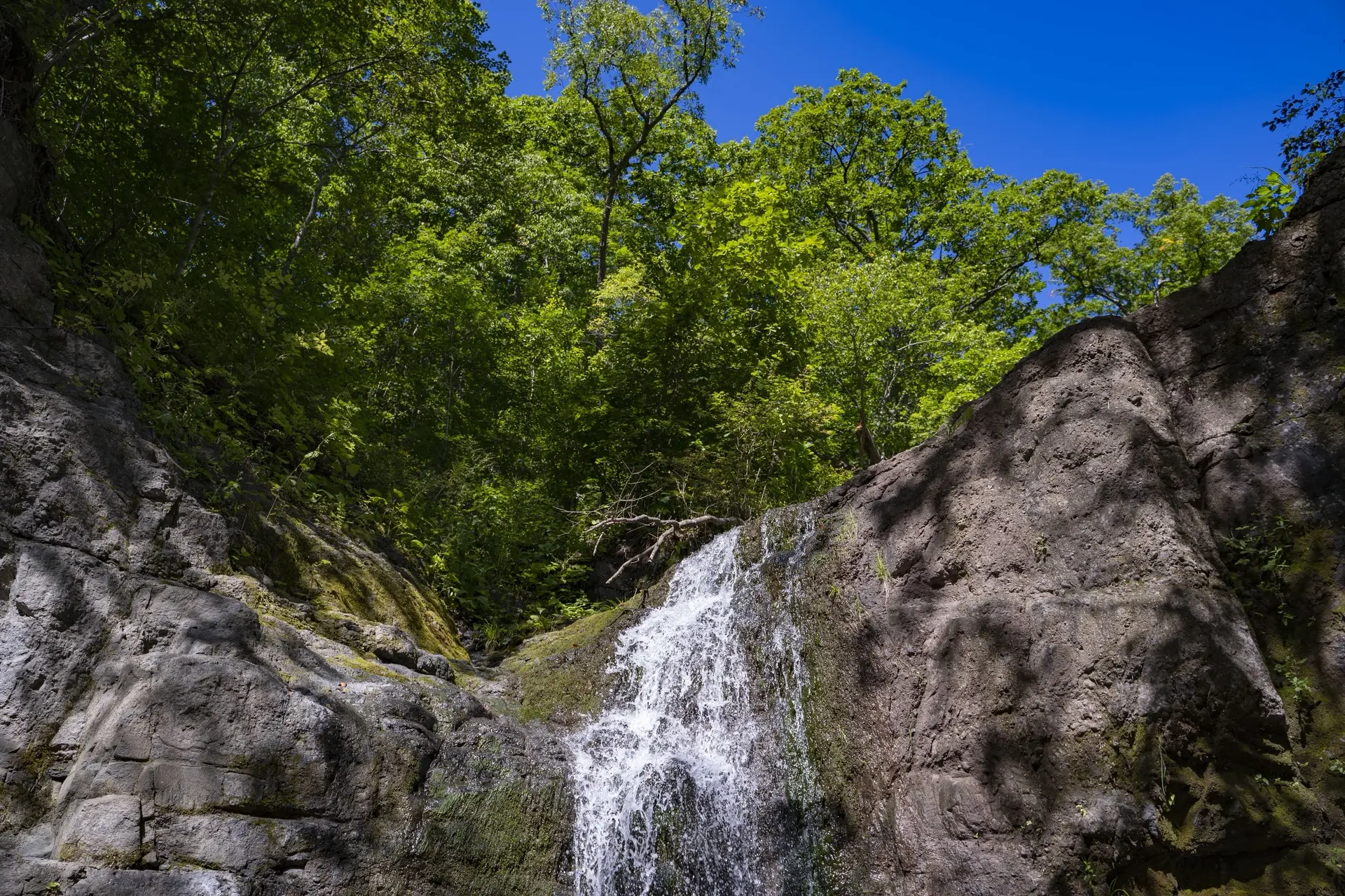 Самое время ловить последние яркие мгновения лета ☀️