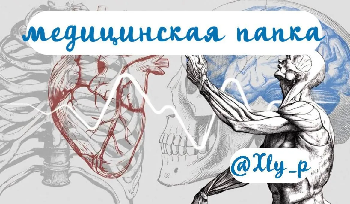 🌟Для вас мы собрали папку с интересными медицинскими каналами 🌟
