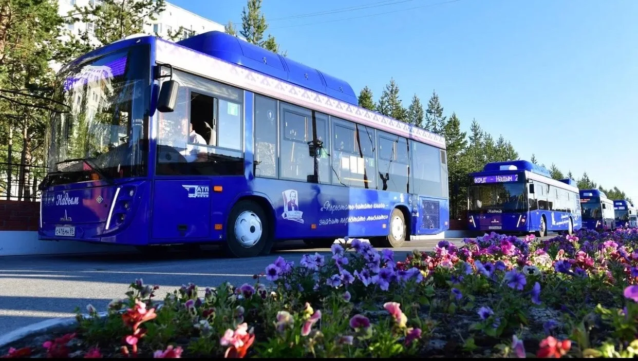🚌 Большинство наших автобусов в единой стилистике синего цвета: что это дает? 

Вы когда-нибудь зад